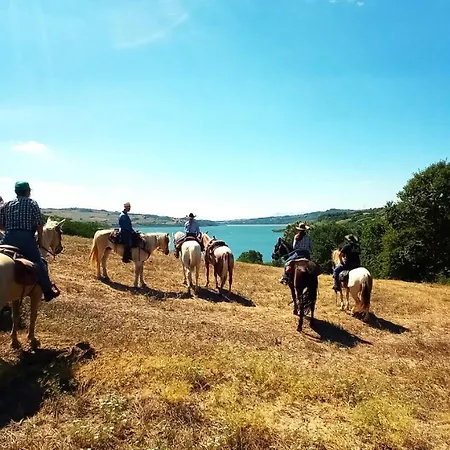 Agriturismo Yes Boss Farm stay Morcone
