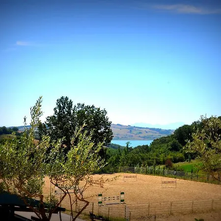 Agriturismo Yes Boss *